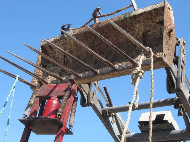 c0188527_63425100.jpg