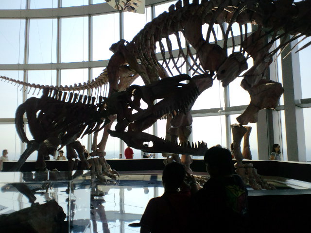 f0098728_19562275.jpg