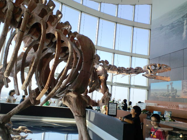 f0098728_19563147.jpg