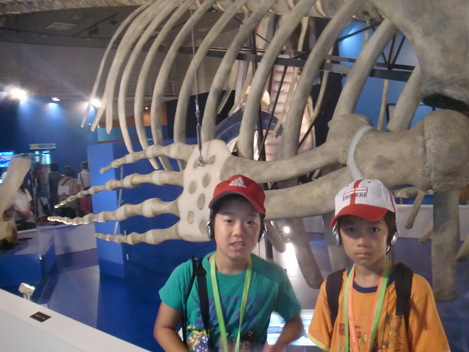 f0098728_1959494.jpg