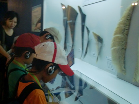 f0098728_2001623.jpg