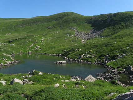 f0234936_55546.jpg