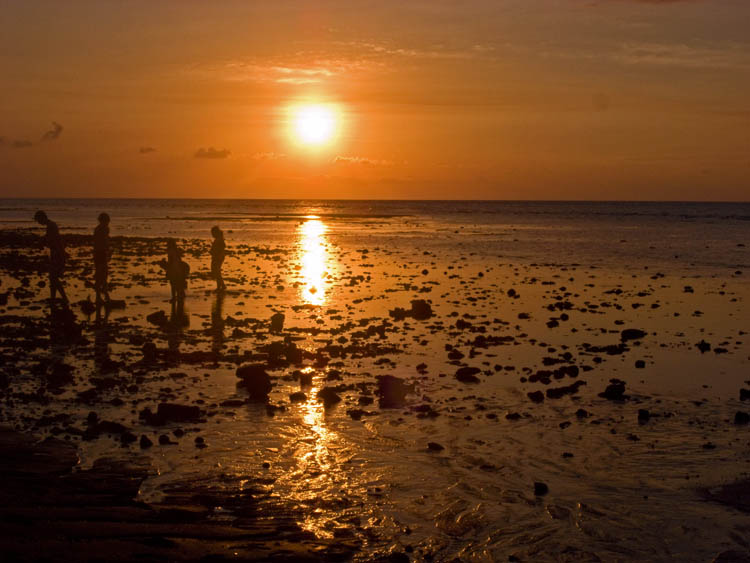 b0042837_453856.jpg