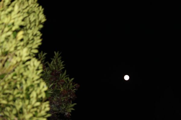 b0148945_0534039.jpg