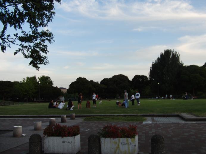 c0156345_1258367.jpg