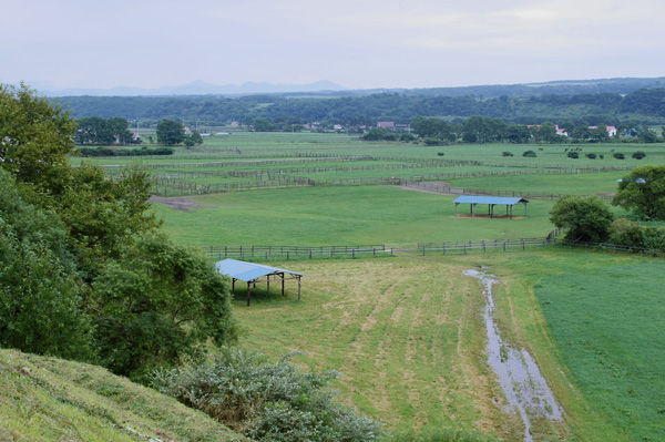 a0112747_03626.jpg