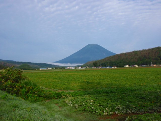 c0097652_16175992.jpg