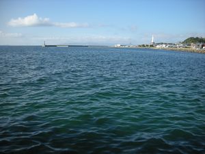 e0020555_21224097.jpg