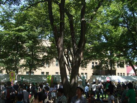 f0149057_0541070.jpg