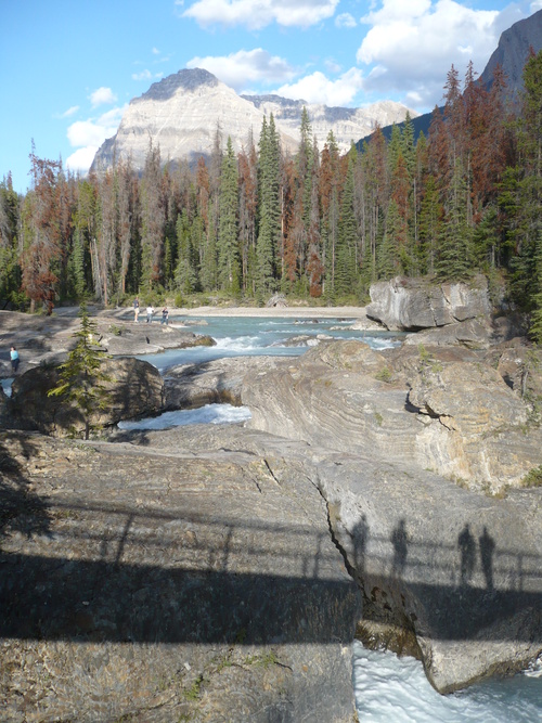 f0214562_8291886.jpg