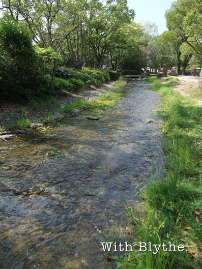 b0059664_0525815.jpg