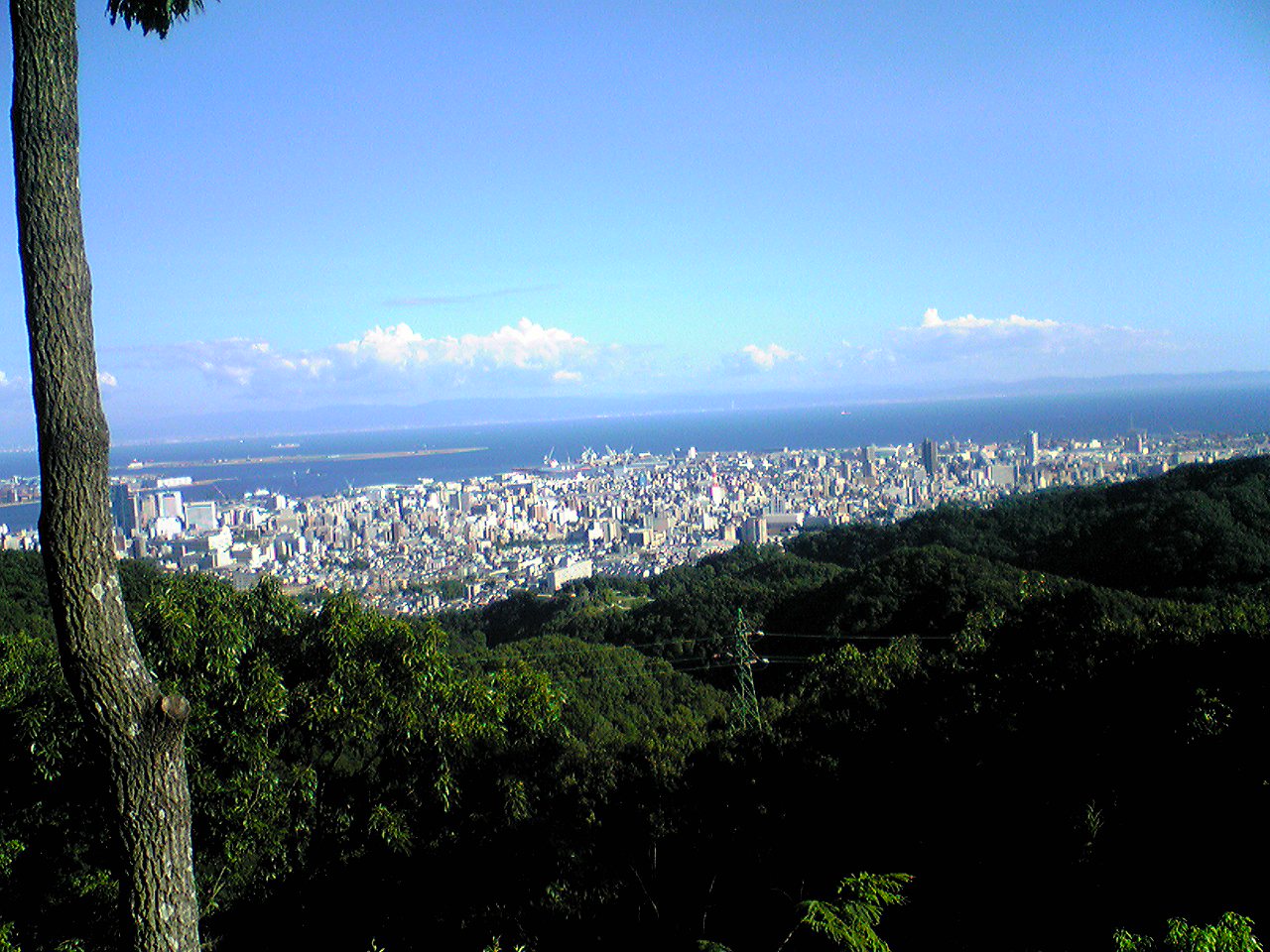 e0159964_13451968.jpg