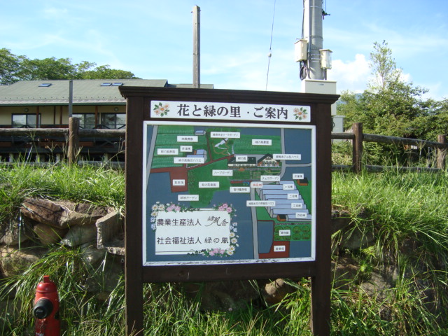 d0152765_205244100.jpg