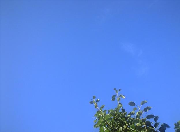 c0194767_8522846.jpg