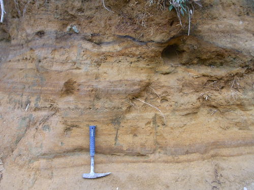 f0186368_1851454.jpg