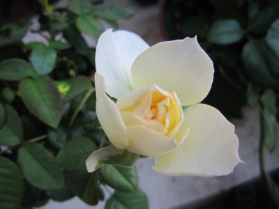 c0202870_9595437.jpg