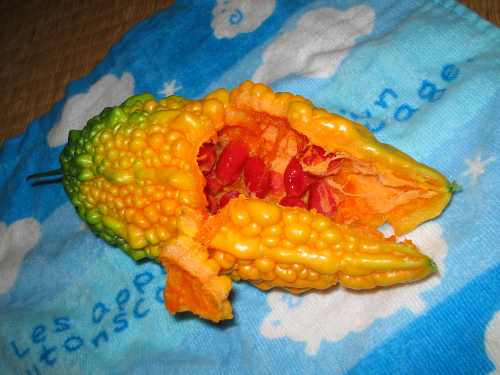 e0031572_7573465.jpg
