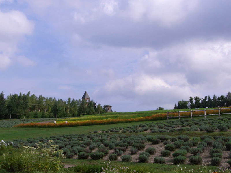 e0100772_22392140.jpg