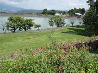 f0236373_1203597.jpg