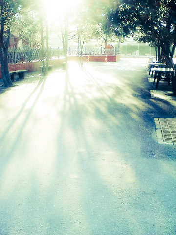 c0194174_2155593.jpg