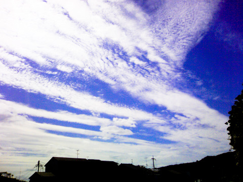 c0194174_2234936.jpg