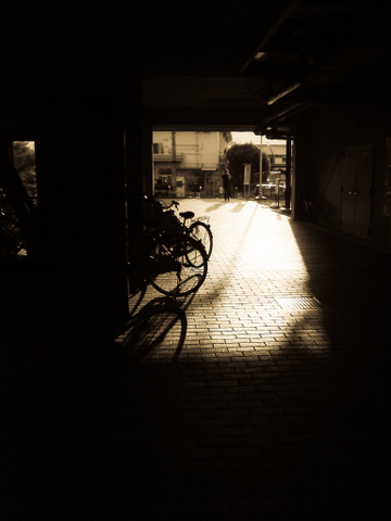 c0194174_224250.jpg