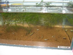 f0155475_23334536.jpg