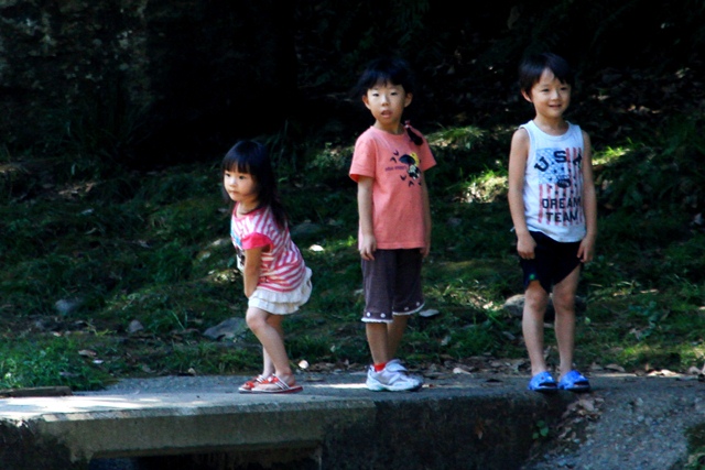 d0126577_13145148.jpg