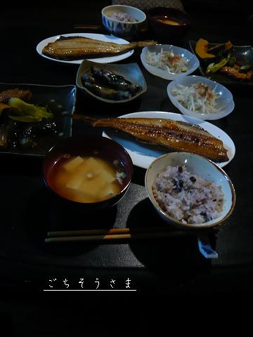 c0175679_20483025.jpg