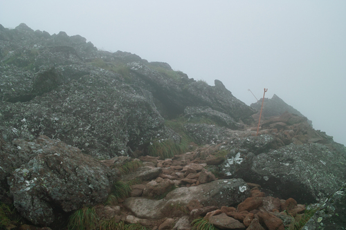 e0129083_1323366.jpg