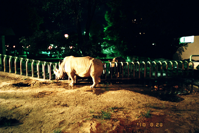 a0140890_13381895.jpg