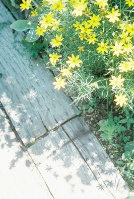 a0167790_19115944.jpg