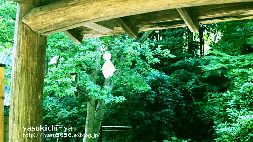 e0048497_17154976.jpg