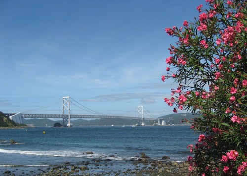 a0125598_225645.jpg