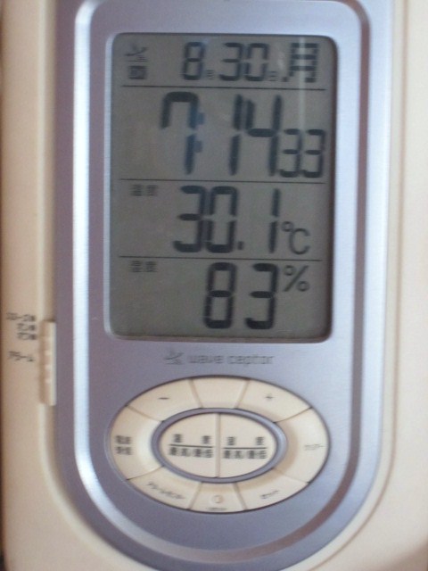 a0075800_11294265.jpg