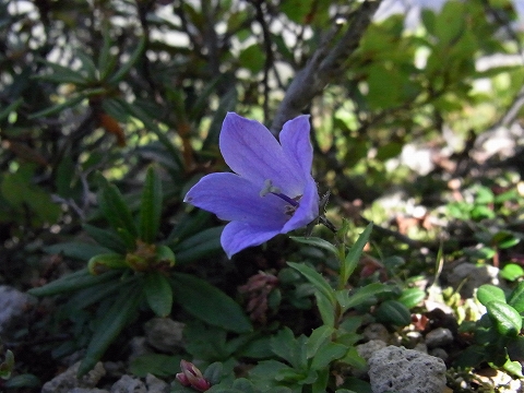 f0157901_20413932.jpg