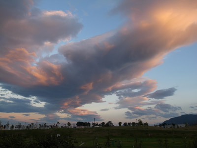 a0050802_224659.jpg