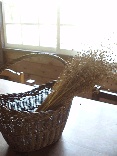 c0129702_2174490.gif
