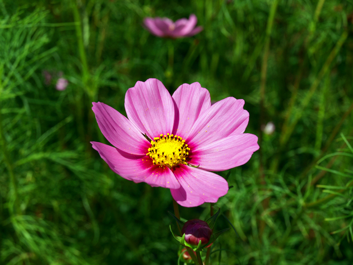 c0177502_22141514.jpg