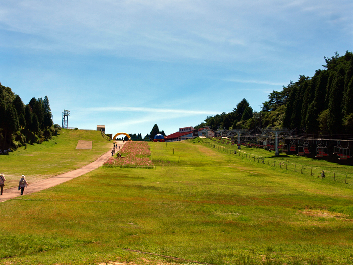c0177502_22481864.jpg