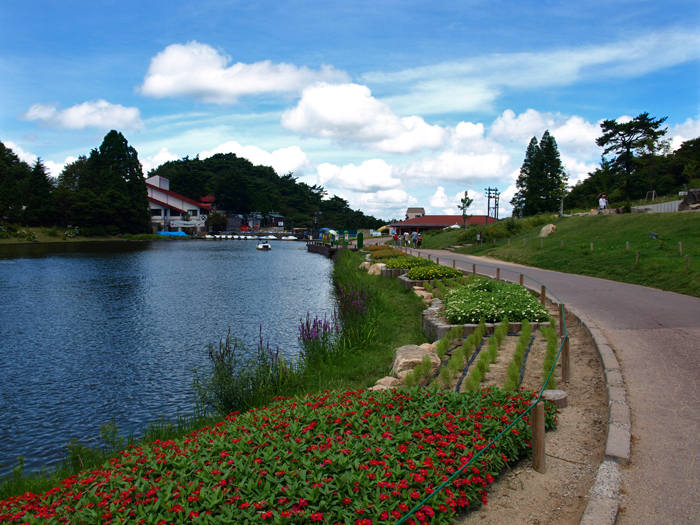 c0177502_2265686.jpg
