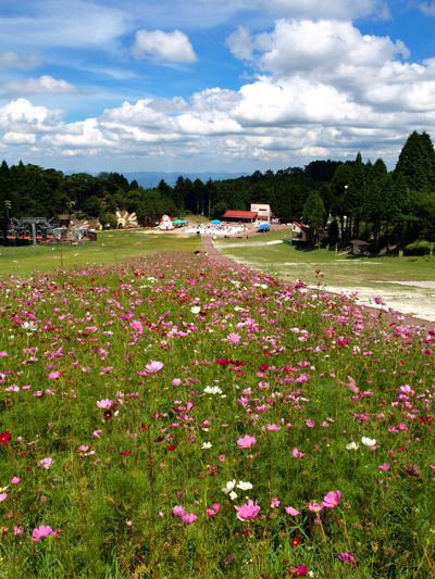 c0177502_2284664.jpg