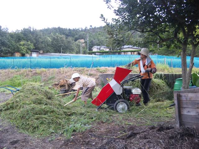 f0197703_1045646.jpg