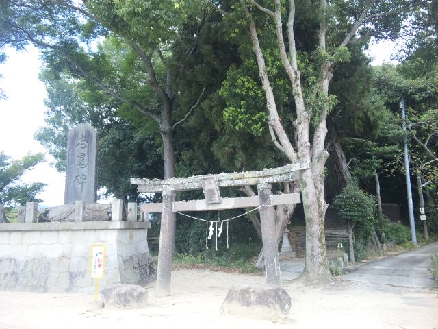f0197703_1050137.jpg