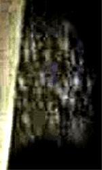 e0103408_12301681.gif