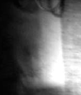e0103408_1242465.gif