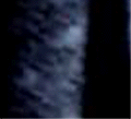 e0103408_12454219.gif