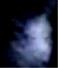e0103408_12455679.gif
