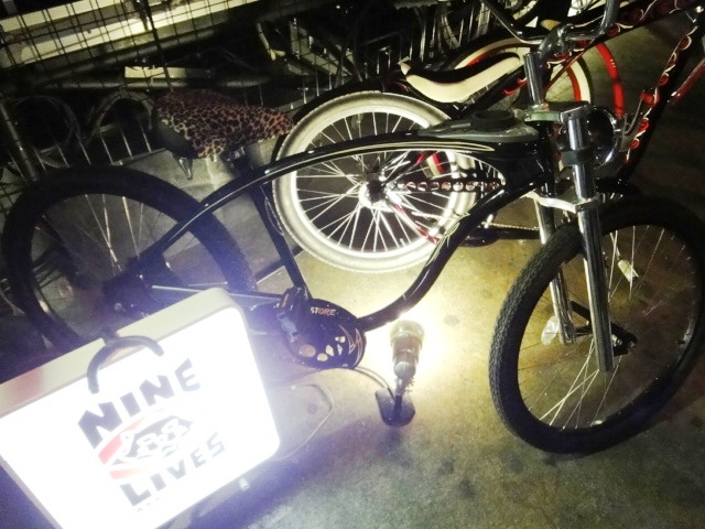 c0221609_1552476.jpg
