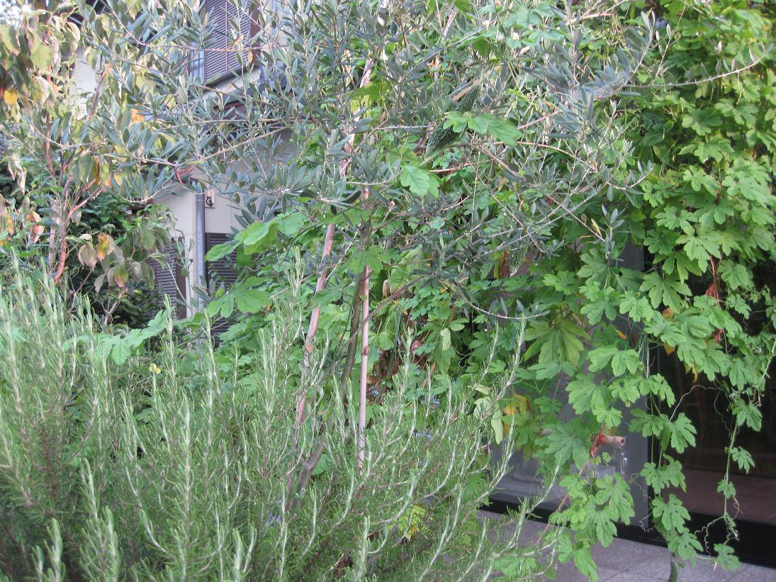 f0179209_1104452.jpg